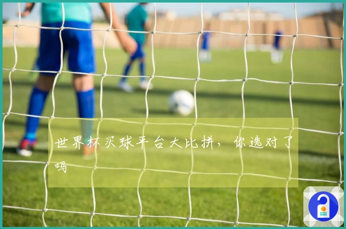 世界杯买球平台大比拼，你选对了吗