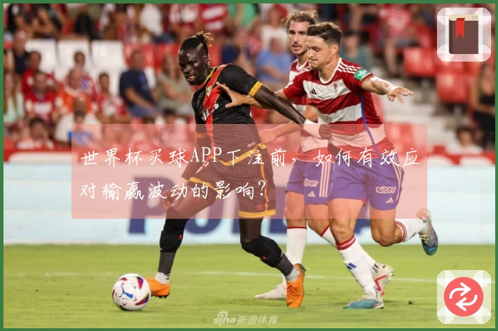 世界杯买球APP下注前，如何有效应对输赢波动的影响？