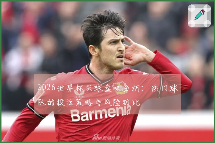 2026世界杯买球盘口分析：热门球队的投注策略与风险对比