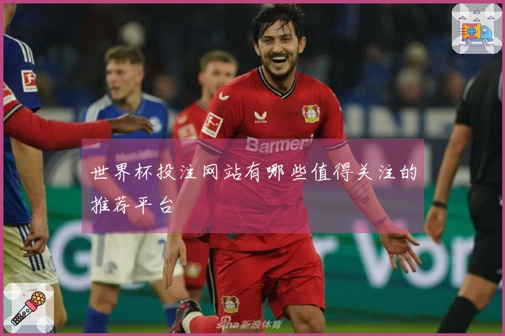 世界杯投注网站有哪些值得关注的推荐平台