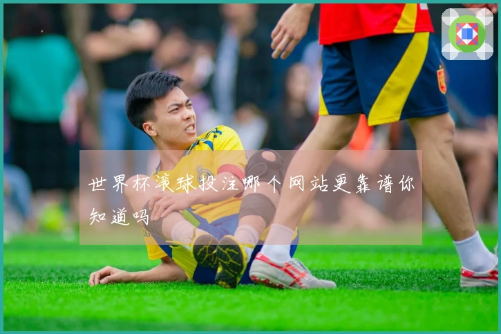 世界杯滚球投注哪个网站更靠谱你知道吗