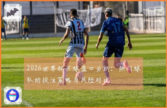 2026世界杯买球盘口分析：热门球队的投注策略与风险对比